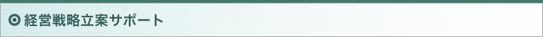 経営戦略立案サポート